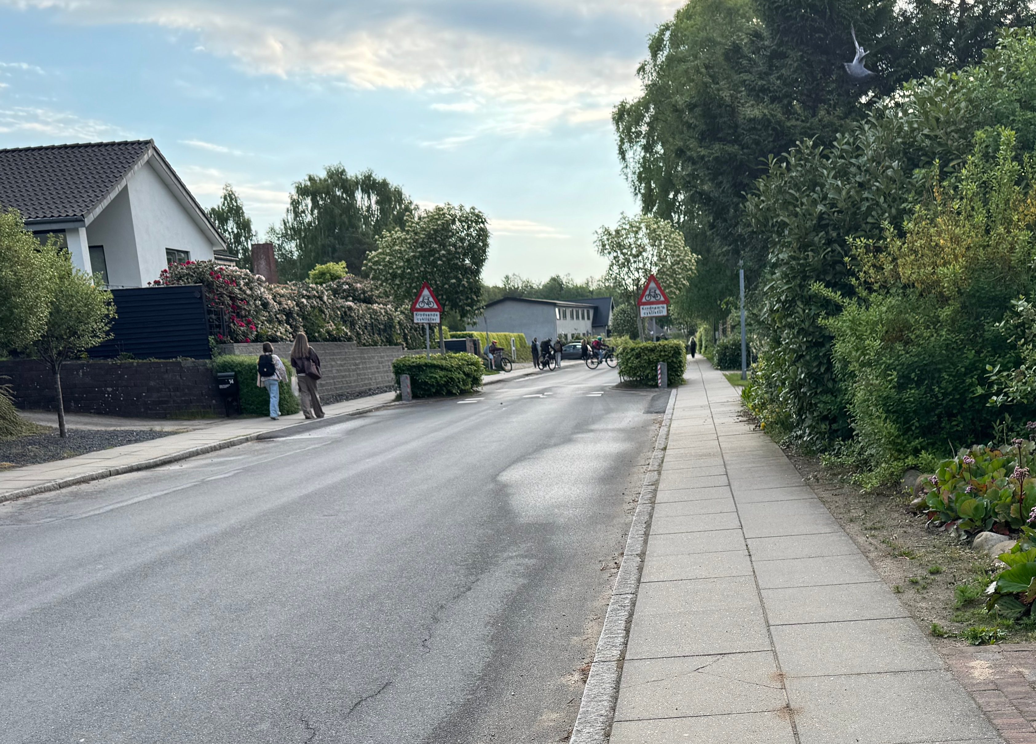 Vesterlundvej-krydset under skoletid. Fodgængere på fortovet, cyklister ved chikanen og biler ad vejen passerer krydset inden for samme minut