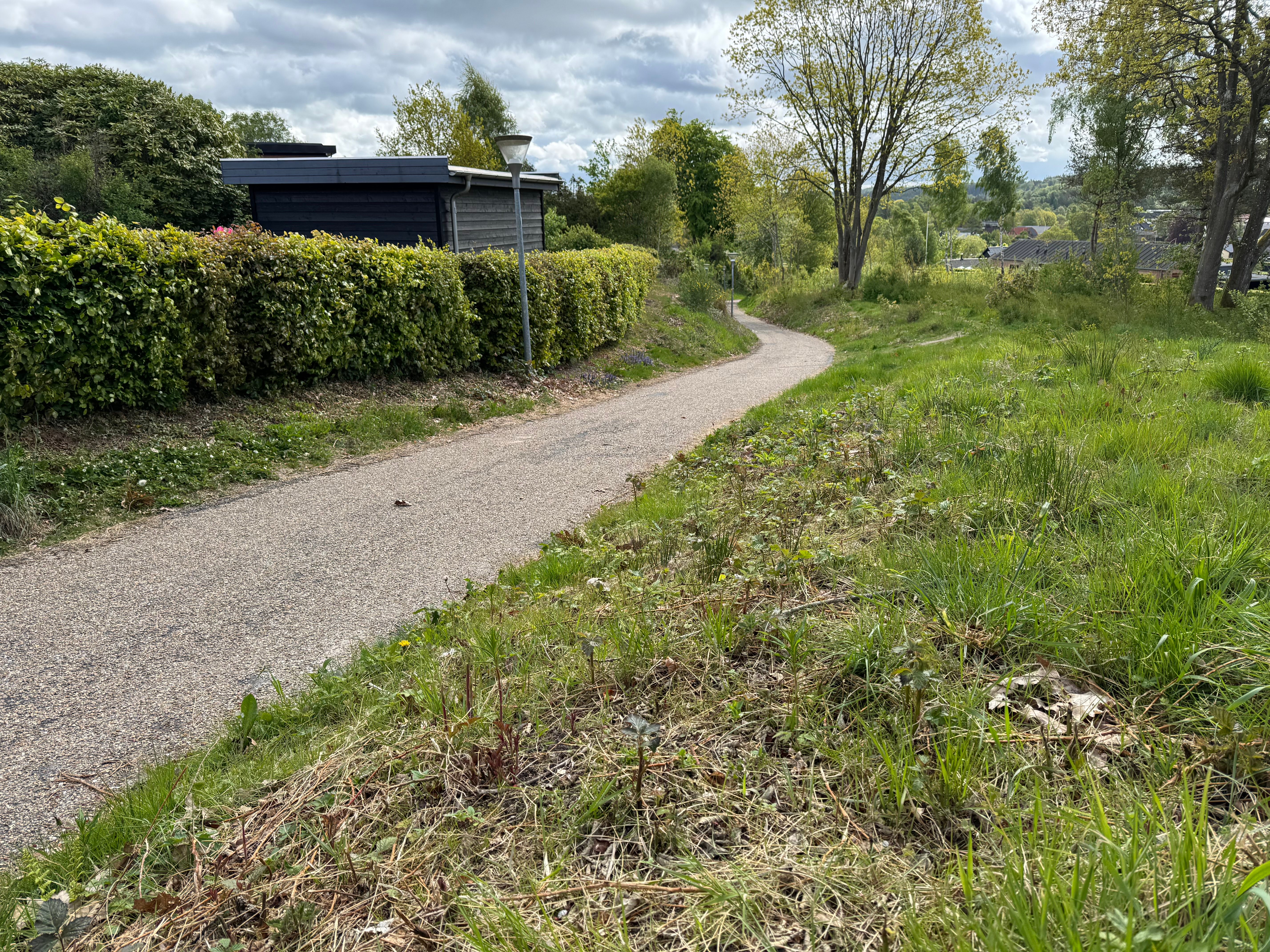 Toppen af nedkørselen mod Vesterlundvej — cykelstien snor sig ned ad bakken med udsigt over Silkeborg-området i horisonten