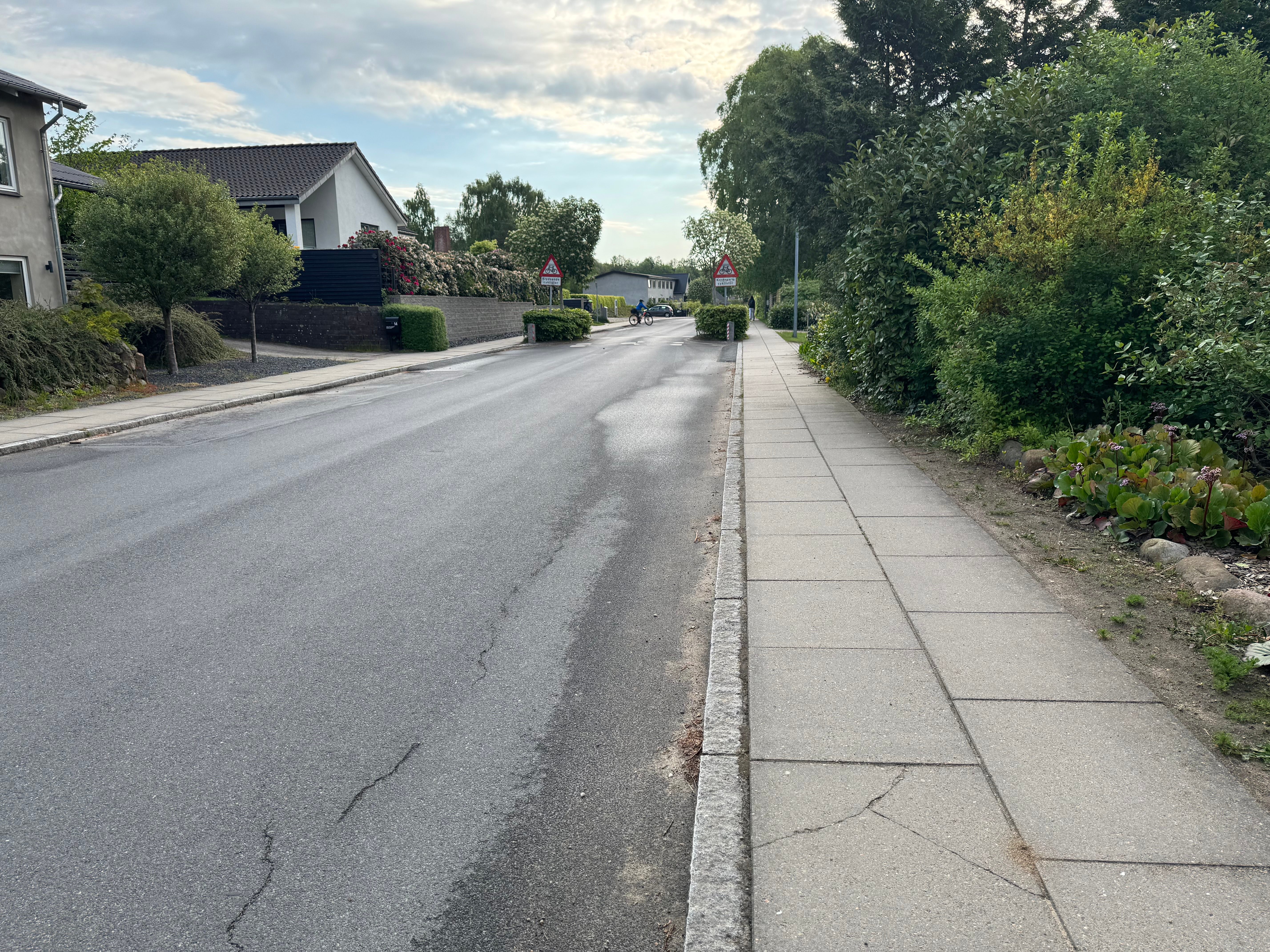 Sigtelinje fra 50 m vest for krydset. Cykelstiens udmunding ligger fortsat skjult bag hækbeplantningen på begge sider